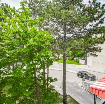 Condo 6 Crescent Town Road Toronto For {
  "id": "E12187469-VOW",
  "Restricted": 0,
  "Active": 1,
  "Sold": 0,
  "Acreage": null,
  "Address": "6 Crescent Town Road",
  "AirConditioning": "Window Unit(s)",
  "ApproxAge": "",
  "ApproxSquareFootage": "1600-1799",
  "Area": "Toronto",
  "AreaCode": "",
  "Basement": "None",
  "Bedrooms": 3,
  "BedroomsPlus": 0,
  "Blob": "apostrophemlsphoto",
  "BuildingAmenities": "Concierge, Day Care, Exercise Room, Gym, Indoor Pool, Party Room/Meeting Room",
  "BuildingAreaTotal": "",
  "BuildingAreaUnits": "",
  "BuildingInsuranceIncluded": null,
  "Board": "Toronto Regional Real Estate Board",
  "ClassSearch": "Condo",
  "CentralVac": "False",
  "ClosedDate": "0001-01-01T00:00:00Z",
  "CoListAgentEmail": null,
  "CoListAgentID": "9621740",
  "CoListAgentName": "ORTHETA ANAN, Salesperson",
  "CoListAgentDesignation": null,
  "CoListAgentPhone": "905-731-2000",
  "CoListOfficeID": null,
  "CoListOfficeName": "ROYAL LEPAGE YOUR COMMUNITY REALTY",
  "CommercialCondoFees": 0,
  "Community": "Crescent Town",
  "CommunityCode": null,
  "Condition": "",
  "ConditionalExpirydate": "0001-01-01T00:00:00Z",
  "ContractDate": "2025-05-30",
  "DaysOnMarket": 0,
  "DirectionsCrossStreets": "Victoria Park Ave and Danforth Ave",
  "DisplayAddressOninternet": "True",
  "DistributeToInternetPortals": "True",
  "Elevator": "",
  "Extras": "",
  "ExpiryDate": "2025-08-31T00:00:00Z",
  "FireplaceStove": "False",
  "Furnished": "",
  "GarageSpaces": 2,
  "GarageType": "Underground",
  "HeatType": "Radiant",
  "HeatSource": "Electric",
  "IDX": "Y",
  "Kitchens": 1,
  "KitchensPlus": 0,
  "Latitude": 43.695992,
  "LastStatus": "New",
  "Lease": "",
  "LeaseFrequency": "",
  "LeaseTerm": "",
  "Level": null,
  "ListAgentEmail": null,
  "ListAgentID": "9559739",
  "ListAgentName": "SHAHED HOSSAIN, Broker",
  "ListAgentDesignation": null,
  "ListAgentPhone": "",
  "ListBrokerage": "ROYAL LEPAGE YOUR COMMUNITY REALTY",
  "ListOfficeID": "087000",
  "ListOfficePhone": "",
  "ListAOR": null,
  "ListingEntryDate": "2025-06-01T15:03:37Z",
  "ListPrice": 849000,
  "Longitude": -79.294469,
  "LotDepth": 0,
  "LotFront": 0,
  "LotSizeCode": "",
  "MLS": "E12187469",
  "MLSNumber": "E12187469",
  "MLSStatus": "A",
  "MLSLastStatus": "New",
  "MoveInDate": "",
  "Municipality": "Toronto",
  "MunicipalityCode": "",
  "MunicipalityDistrict": "Toronto E03",
  "OpenHouseDate1": "0001-01-01T00:00:00Z",
  "OpenHouseDate2": "0001-01-01T00:00:00Z",
  "OpenHouseDate3": "0001-01-01T00:00:00Z",
  "OpenHouseFrom1": null,
  "OpenHouseFrom2": null,
  "OpenHouseFrom3": null,
  "OpenHouseTo1": null,
  "OpenHouseTo2": null,
  "OpenHouseTo3": null,
  "OriginalPrice": 849000,
  "ParkingSpaces": 2,
  "PetsPermitted": "Restricted",
  "PhotoCount": 50,
  "Pool": "",
  "PostalCode": "M4C 5L3",
  "PropertyType": "Condo",
  "PropertyTypeSearch": "Residential",
  "PropertySubType": "Condo Townhouse",
  "PropertySubTypeSearch": "Condo",
  "PropertyStyleSearch": "2 Storey",
  "Province": "ON",
  "RemarksForClients": "Yes, we are asking for the right price for the right thing! There is no match for any property like this in the last few years. One of the biggest (according to MPAC, 1595 sq ft.) Entirely professionally done Renovation, Spotless Painting, Stunning And Bright, Newly Upgraded 3 Bedrooms, 3 Washrooms- Duplex Townhouse Located In a Highly Desirable, Quiet & Safe Neighbourhood where Modern Elegance Meets Convenience. Big Closet In All Bedroom, 2 In Suit Storage, Big Master Bedroom With Washroom. Bright Open Concept Living And Dining Space Boasting Plenty Of Natural Light. The renovated Kitchen has a Quartz Countertop, Backsplash/Double deep sink And Ample Cabinet Space. On The Second Floor, You'll Find A Cozy Atmosphere In Each Of The Three Generously Sized Bedrooms. The Spacious Primary Bedroom Features A Luxurious walk-in Closet and two Piece of Ensuite. Conveniently Located Next To Victoria Park Subway Station,Parks, Daycare, Schools, Grocery, Pharmacy, Major Highways, And Much More. After renovation,you will be the first to live there!",
  "Retirement": "0",
  "SaleLease": "Sale",
  "SoldDate": "0001-01-01T00:00:00Z",
  "SoldPrice": "",
  "Sewers": "",
  "Source": "VOW",
  "SPLP": 0,
  "SqFtTotal": null,
  "SqFtRangeMin": 1600,
  "SqFtRangeMax": 1799,
  "Status": "A",
  "StreetNumber": "6",
  "StreetAbbreviation": "Road",
  "StreetDirection": "",
  "StreetName": "Crescent Town",
  "Style": "2-Storey",
  "SuspendedDate": "0001-01-01T00:00:00Z",
  "Taxes": 1752.46,
  "TaxYear": "2024",
  "TerminatedDate": "0001-01-01T00:00:00Z",
  "TimestampSql": "2025-06-06T17:59:18Z",
  "TotalArea": "0",
  "TotalParkingSpaces": 2,
  "Type": "Condo Townhouse",
  "TypeSearch": "Row/Townhouse",
  "UnitNumber": "406",
  "VirtualTourURL": "https://unbranded.youriguide.com/406_6_crescent_town_rd_toronto_on/",
  "Washrooms": 3,
  "Water": null,
  "Waterfront": "",
  "WaterIncluded": "",
  "YearBuilt": null,
  "Zoning": "",
  "Geometry": "43.695992,-79.294469",
  "RTimestampSql": "2025-06-06T18:55:15Z"
}.(string)property[