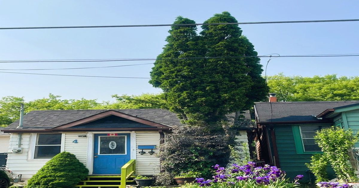 4 Lucy Avenue Toronto