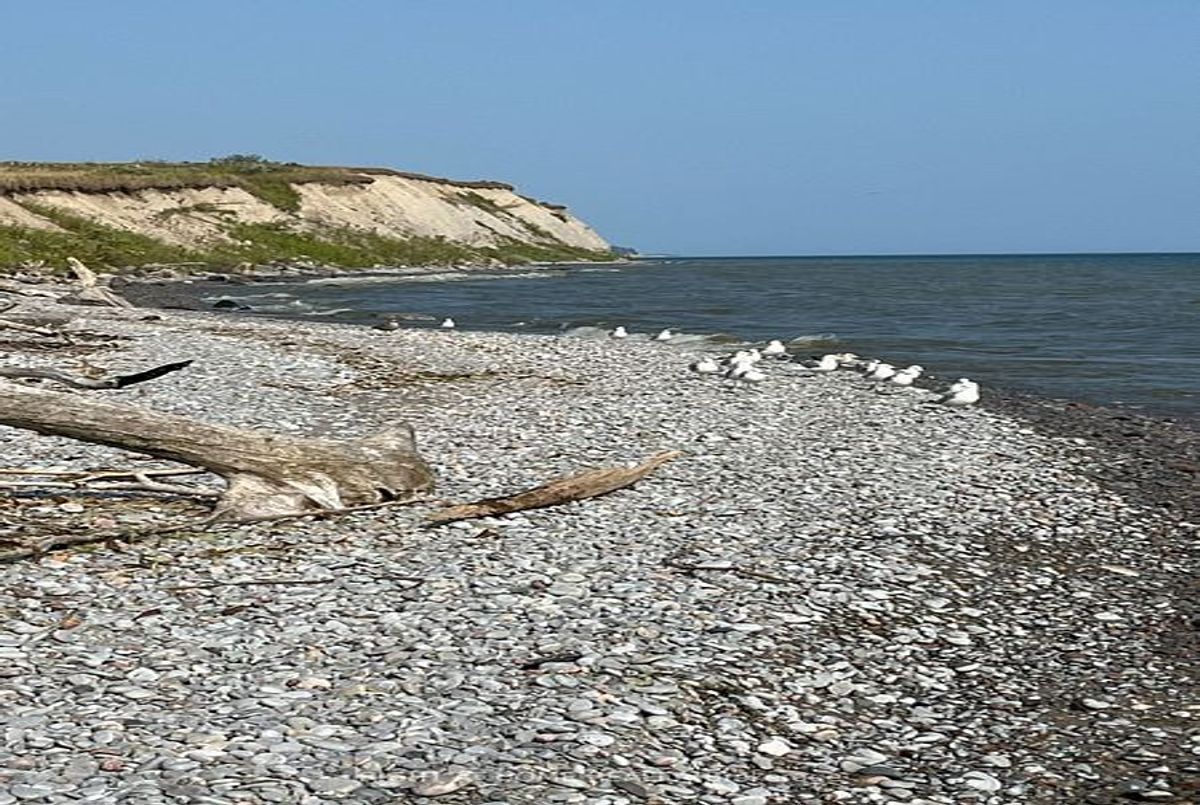 img-gallery