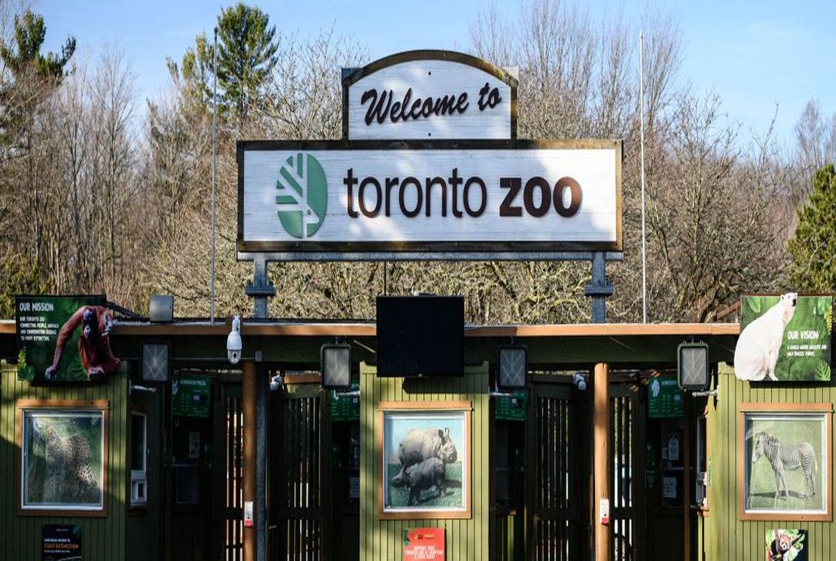 25 Lady Bower Crescent Toronto 25 Lady Bower Crescent Toronto