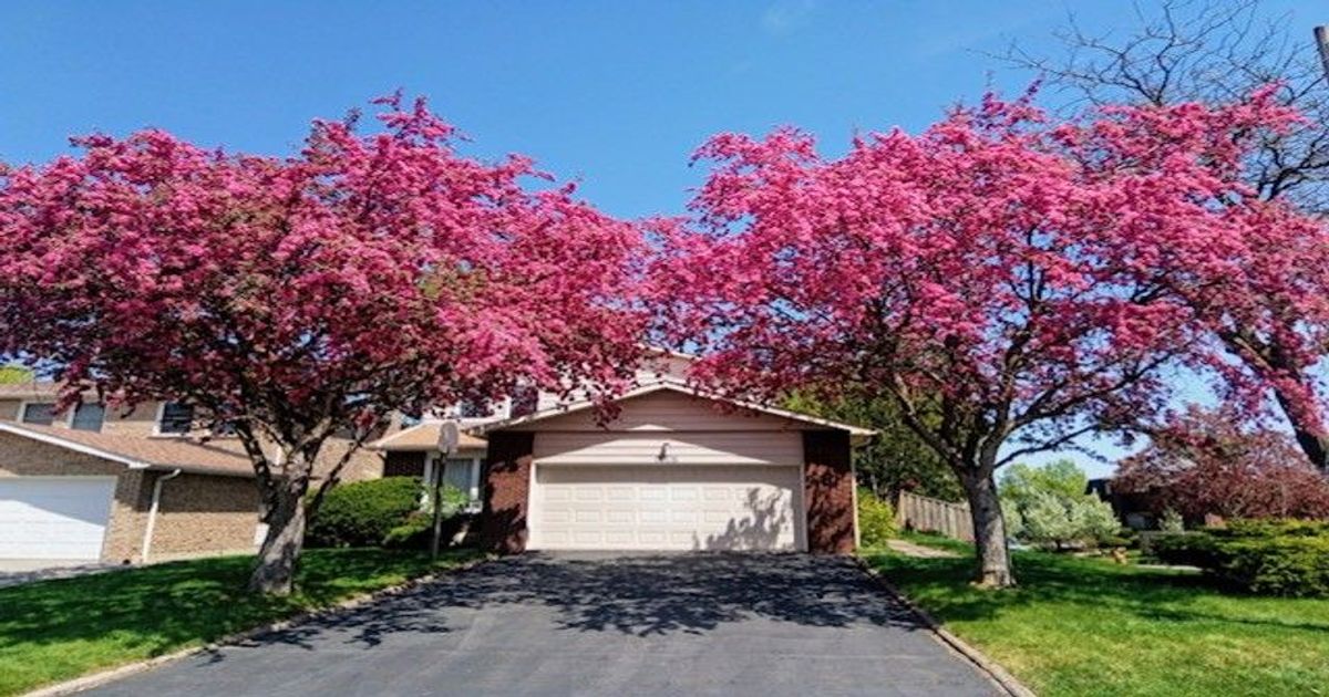 46 Flowervale Road Markham