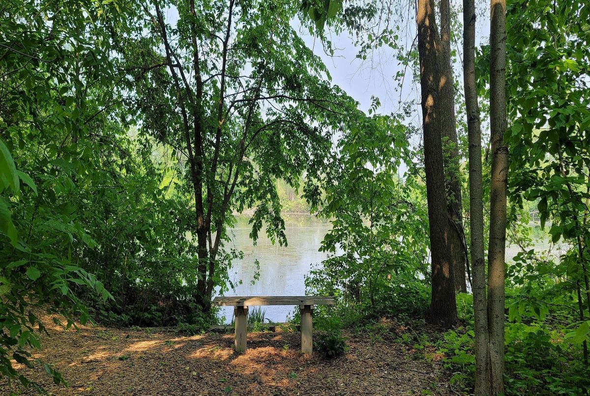 img-gallery