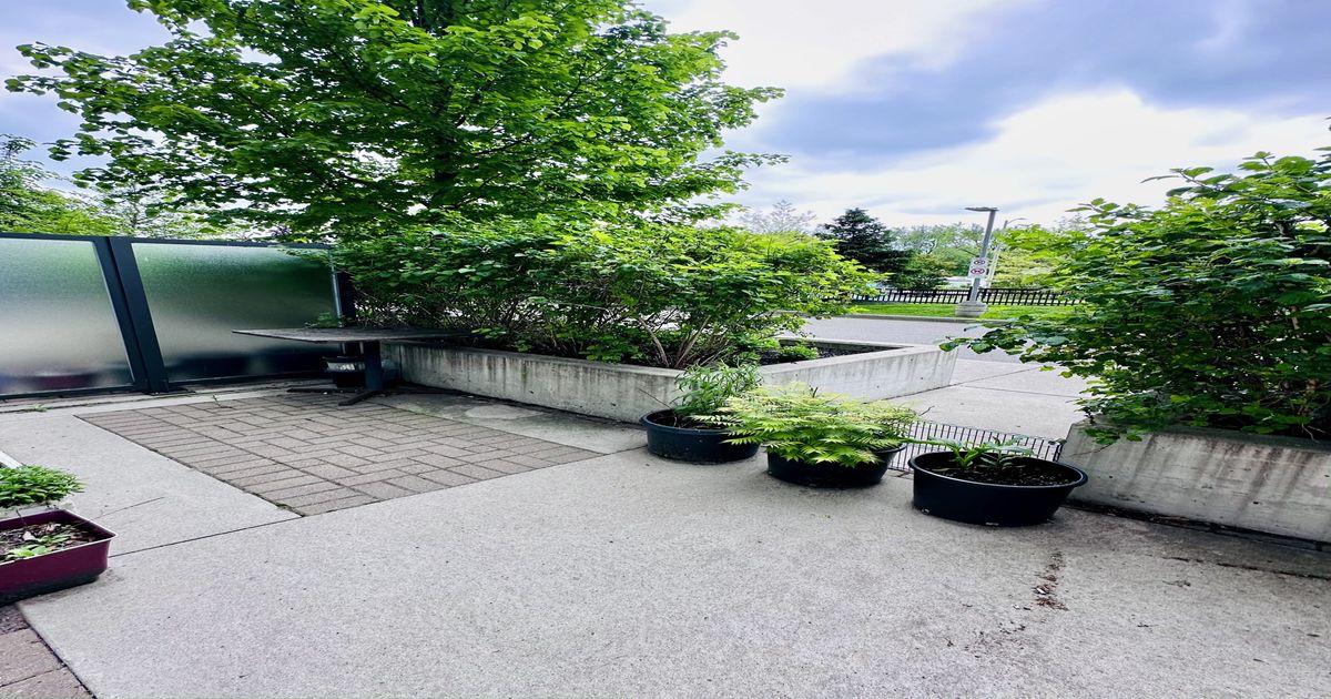 7165 Yonge Street Markham