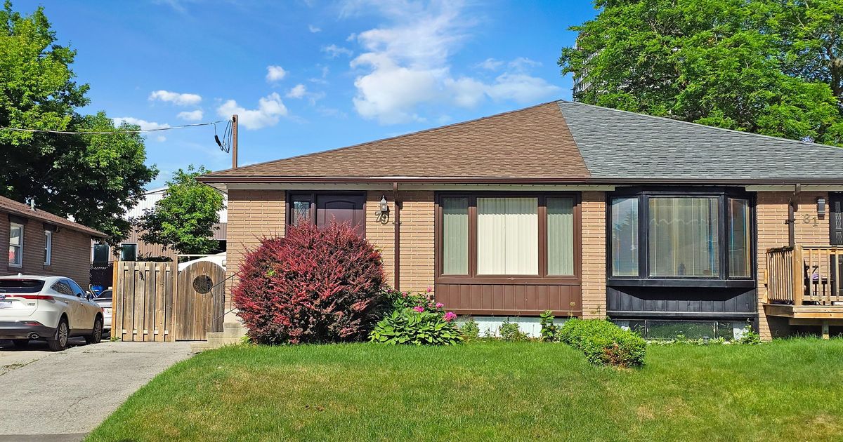 79 Walter Avenue Newmarket