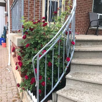 Residential 343 Osiris Drive Richmond Hill For {
  "id": "N12287350-VOW",
  "Restricted": 0,
  "Active": 1,
  "Sold": 0,
  "Acreage": null,
  "Address": "343 Osiris Drive",
  "AirConditioning": "Central Air",
  "ApproxAge": "",
  "ApproxSquareFootage": "1100-1500",
  "Area": "York",
  "AreaCode": "",
  "Basement": "Finished",
  "Bedrooms": 3,
  "BedroomsPlus": 0,
  "Blob": "apostrophemlsphoto",
  "BuildingAmenities": "",
  "BuildingAreaTotal": "",
  "BuildingAreaUnits": "",
  "BuildingInsuranceIncluded": null,
  "Board": "Toronto Regional Real Estate Board",
  "ClassSearch": "Residential",
  "CentralVac": "False",
  "ClosedDate": "0001-01-01T00:00:00Z",
  "CoListAgentEmail": null,
  "CoListAgentID": "",
  "CoListAgentName": "",
  "CoListAgentDesignation": null,
  "CoListAgentPhone": "",
  "CoListOfficeID": null,
  "CoListOfficeName": "",
  "CommercialCondoFees": 0,
  "Community": "Crosby",
  "CommunityCode": null,
  "Condition": "",
  "ConditionalExpirydate": "0001-01-01T00:00:00Z",
  "ContractDate": "2025-07-15",
  "DaysOnMarket": 0,
  "DirectionsCrossStreets": "Crosby Ave",
  "DisplayAddressOninternet": "False",
  "DistributeToInternetPortals": "True",
  "Elevator": "",
  "Extras": "",
  "ExpiryDate": "2025-10-01T00:00:00Z",
  "FireplaceStove": "False",
  "Furnished": "Unfurnished",
  "GarageSpaces": 0,
  "GarageType": "None",
  "HeatType": "Forced Air",
  "HeatSource": "Gas",
  "IDX": "Y",
  "Kitchens": 1,
  "KitchensPlus": 0,
  "Latitude": 43.883411,
  "LastStatus": "New",
  "Lease": "",
  "LeaseFrequency": "",
  "LeaseTerm": "12 Months",
  "Level": null,
  "ListAgentEmail": null,
  "ListAgentID": "9606541",
  "ListAgentName": "AHMAD HOSSEINKHANI, Salesperson",
  "ListAgentDesignation": null,
  "ListAgentPhone": "",
  "ListBrokerage": "SUTTON GROUP-ADMIRAL REALTY INC.",
  "ListOfficeID": "079901",
  "ListOfficePhone": "",
  "ListAOR": null,
  "ListingEntryDate": "2025-07-16T03:16:44Z",
  "ListPrice": 2500,
  "Longitude": -79.423389,
  "LotDepth": 0,
  "LotFront": 0,
  "LotSizeCode": "",
  "MLS": "N12287350",
  "MLSNumber": "N12287350",
  "MLSStatus": "A",
  "MLSLastStatus": "New",
  "MoveInDate": "",
  "Municipality": "Richmond Hill",
  "MunicipalityCode": "",
  "MunicipalityDistrict": "Richmond Hill",
  "OpenHouseDate1": "0001-01-01T00:00:00Z",
  "OpenHouseDate2": "0001-01-01T00:00:00Z",
  "OpenHouseDate3": "0001-01-01T00:00:00Z",
  "OpenHouseFrom1": null,
  "OpenHouseFrom2": null,
  "OpenHouseFrom3": null,
  "OpenHouseTo1": null,
  "OpenHouseTo2": null,
  "OpenHouseTo3": null,
  "OriginalPrice": 2500,
  "ParkingSpaces": 3,
  "PetsPermitted": "",
  "PhotoCount": 17,
  "Pool": "None",
  "PostalCode": "L4C 2P6",
  "PropertyType": "Residential",
  "PropertyTypeSearch": "Residential",
  "PropertySubType": "Detached",
  "PropertySubTypeSearch": "Single Family",
  "PropertyStyleSearch": "Bungalow",
  "Province": "ON",
  "RemarksForClients": "Fabulous Opportunity To Live . Great Layout 3 Bedroom Home .Close To Amenities, Hwy, Park, Plaza, And Crosby Heights Public School (Gifted) & Beverley Acres Public School.Located in a quiet, family-friendly community surrounded by, parks, and convenient amenities. Don't miss out on this opportunity!",
  "Retirement": "0",
  "SaleLease": "Lease",
  "SoldDate": "0001-01-01T00:00:00Z",
  "SoldPrice": "",
  "Sewers": "Sewer",
  "Source": "VOW",
  "SPLP": 0,
  "SqFtTotal": null,
  "SqFtRangeMin": 1100,
  "SqFtRangeMax": 1500,
  "Status": "A",
  "StreetNumber": "343",
  "StreetAbbreviation": "Drive",
  "StreetDirection": "",
  "StreetName": "Osiris",
  "Style": "Bungalow",
  "SuspendedDate": "0001-01-01T00:00:00Z",
  "Taxes": 0,
  "TaxYear": "",
  "TerminatedDate": "0001-01-01T00:00:00Z",
  "TimestampSql": "2025-07-29T00:26:57Z",
  "TotalArea": "0",
  "TotalParkingSpaces": 3,
  "Type": "Detached",
  "TypeSearch": "Detached",
  "UnitNumber": "",
  "VirtualTourURL": "",
  "Washrooms": 1,
  "Water": null,
  "Waterfront": "",
  "WaterIncluded": "",
  "YearBuilt": null,
  "Zoning": "",
  "Geometry": "43.883411,-79.423389",
  "RTimestampSql": "2025-07-29T00:55:11Z"
}.(string)property[