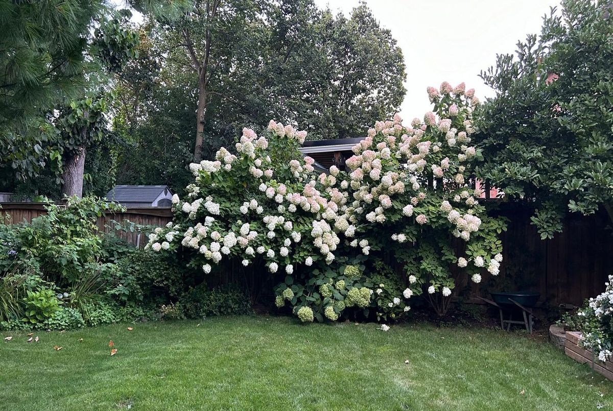 86 Eagle Peak Drive Richmond Hill 86 Eagle Peak Drive Richmond Hill