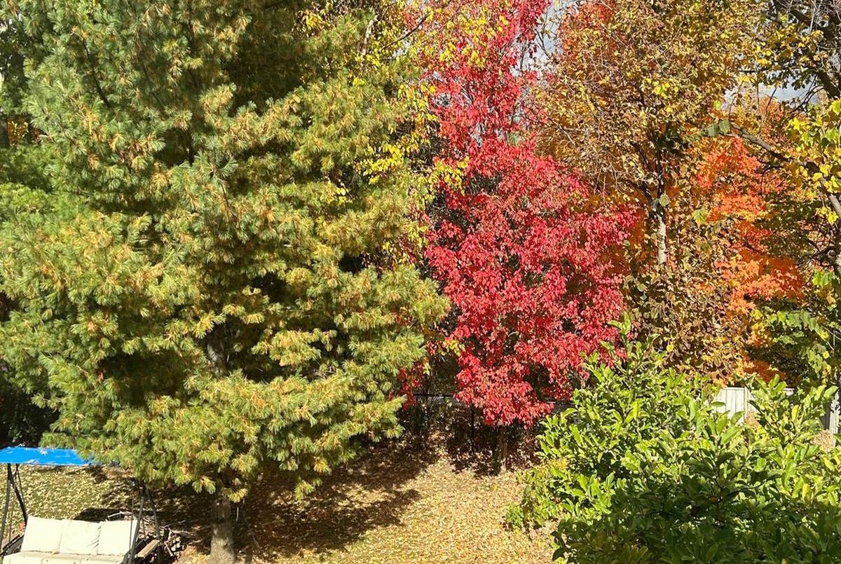 86 Eagle Peak Drive Richmond Hill 86 Eagle Peak Drive Richmond Hill