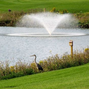 Residential 68 Mcdermott Tr Whitchurch-Stouffville For {
  "id": "N6004569-VOW",
  "Acreage": "",
  "Active": "0",
  "Address": "68 Mcdermott Tr",
  "AirConditioning": "Central Air",
  "ApproxAge": "",
  "ApproxSquareFootage": "",
  "Area": "York",
  "AreaCode": "09",
  "Basement": "Finished",
  "Bedrooms": "2",
  "BedroomsPlus": "0",
  "Blob": "apostrophemlsphoto",
  "BuildingAmenities": "",
  "BuildingAreaTotal": "0",
  "BuildingAreaUnits": "Sq Ft",
  "Board": "Toronto Real Estate Board",
  "ClassSearch": "Residential",
  "CentralVac": "",
  "ClosedDate": "2023-07-31T00:00:00Z",
  "CoListAgentEmail": "",
  "CoListAgentID": "",
  "CoListAgentName": "",
  "CoListAgentDesignation": "",
  "CoListAgentPhone": "",
  "CoListOfficeID": "",
  "CoListOfficeName": "",
  "CommercialCondoFees": "0",
  "Community": "Ballantrae",
  "CommunityCode": "09.05.0020",
  "Condition": "",
  "ConditionalExpiryDate": "2023-05-09T00:00:00Z",
  "ContractDate": "2023-04-03 00:00:00.0",
  "DaysOnMarket": "22",
  "DisplayAddressOninternet": "Y",
  "DirectionsCrossStreets": "Hwy 48/Aurora Rd.",
  "DistributeToInternetPortals": "Y",
  "Elevator": "",
  "ExpiryDate": "2023-08-30T00:00:00Z",
  "Extras": "",
  "FireplaceStove": "Y",
  "Furnished": "",
  "GarageSpaces": "2",
  "GarageType": "Attached",
  "HeatType": "Forced Air",
  "HeatSource": "Gas",
  "IDX": "N",
  "Kitchens": "1",
  "KitchensPlus": "0",
  "Latitude": "44.04524",
  "LastStatus": "Sld",
  "Lease": "",
  "LeaseFrequency": "",
  "LeaseTerm": "",
  "Level": "",
  "ListAgentEmail": "",
  "ListAgentID": "",
  "ListAgentName": "",
  "ListAgentDesignation": "",
  "ListAgentPhone": "",
  "ListAOR": "",
  "ListBrokerage": "RE/MAX REALTRON REALTY INC., BROKERAGE",
  "ListOfficeID": "",
  "ListOfficePhone": "",
  "ListingEntryDate": "2023-04-03T00:00:00Z",
  "ListPrice": "1279000",
  "Longitude": "-79.28153",
  "Locker": "",
  "LotDepth": "0",
  "LotFront": "0",
  "LotSizeCode": "Feet",
  "Maintenance": "0",
  "MLS": "N6004569",
  "MLSNumber": "N6004569",
  "MLSStatus": "U",
  "MLSLastStatus": "Sld",
  "MoveInDate": "",
  "Municipality": "Whitchurch-Stouffville",
  "MunicipalityCode": "09.05",
  "MunicipalityDistrict": "Whitchurch-Stouffville",
  "OpenHouseDate1": "0001-01-01T00:00:00Z",
  "OpenHouseDate2": "0001-01-01T00:00:00Z",
  "OpenHouseDate3": "0001-01-01T00:00:00Z",
  "OpenHouseFrom1": "",
  "OpenHouseFrom2": "",
  "OpenHouseFrom3": "",
  "OpenHouseTo1": "",
  "OpenHouseTo2": "",
  "OpenHouseTo3": "",
  "OriginalPrice": "1279000",
  "ParkingSpaces": "2",
  "PetsPermitted": "",
  "PhotoCount": "40",
  "Pool": "None",
  "PostalCode": "L4A1N8",
  "PropertyType": "Residential",
  "PropertyTypeSearch": "Residential",
  "PropertySubType": "Detached",
  "PropertySubTypeSearch": "Single Family",
  "PropertyStyleSearch": "Bungalow",
  "Province": "Ontario",
  "RemarksForClients": "Florida Style Bungalow In Coveted/Gated Community Of Ballantrae Golf Club. This Home Is In Immaculate Condition With A Premium Lot Located On A Quiet Street.Popular Pinehurst Model (1700 Sqft).This Gorgeous Home Is Bright And Roomy And Features Hardwood Flr On Main Level,Updated Kitchen With Stainless Steel Appliances, Granite Countertops And Backsplash,Pot Lights, Extended Patio With Breathtaking View Of The Pond.",
  "Retirement": "0",
  "Restricted": "1",
  "SaleLease": "Sale",
  "Sold": "1",
  "SoldDate": "2023-04-25T00:00:00Z",
  "SoldPrice": "1255000",
  "Source": "VOW",
  "SPLP": "98",
  "SqFtTotal": "",
  "SqFtRangeMin": "0",
  "SqFtRangeMax": "0",
  "Status": "U",
  "StreetNumber": "68",
  "StreetAbbreviation": "Tr",
  "StreetDirection": "",
  "StreetName": "Mcdermott",
  "Style": "Bungalow",
  "SuspendedDate": "0001-01-01T00:00:00Z",
  "Taxes": "5037.12",
  "TaxYear": "2022",
  "TerminatedDate": "0001-01-01T00:00:00Z",
  "TimestampSql": "2023-04-25T17:11:35Z",
  "TotalArea": "0",
  "TotalParkingSpaces": "0",
  "Type": "Detached",
  "TypeSearch": "Detached",
  "UnitNumber": "",
  "VirtualTourURL": "",
  "Water": "",
  "Washrooms": "3",
  "Waterfront": "",
  "WaterIncluded": "",
  "YearBuilt": "",
  "Zoning": "",
  "Geometry": "44.04524,-79.28153",
  "RTimestampSql": "2023-04-26T09:56:53Z"
}.(string)property[