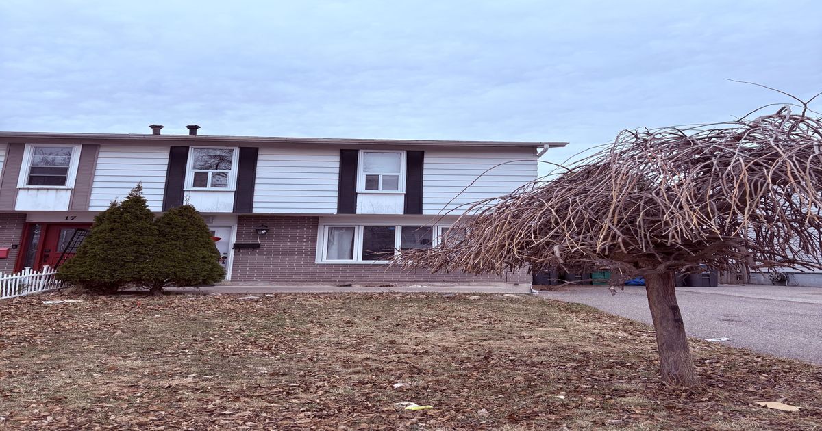 19 Bramhall Circle Brampton