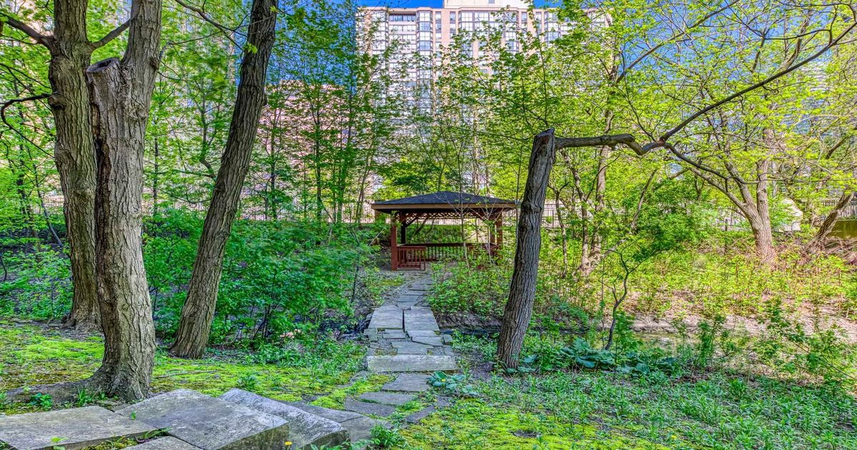 3605 Kariya Drive Mississauga