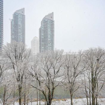 Condo 2220 Lakeshore Boulevard W Toronto For {
  "id": "W12249902-VOW",
  "Restricted": 0,
  "Active": 1,
  "Sold": 0,
  "Acreage": null,
  "Address": "2220 Lakeshore Boulevard W",
  "AirConditioning": "Central Air",
  "ApproxAge": "6-10",
  "ApproxSquareFootage": "500-599",
  "Area": "Toronto",
  "AreaCode": "",
  "Basement": "None",
  "Bedrooms": 1,
  "BedroomsPlus": 0,
  "Blob": "apostrophemlsphoto",
  "BuildingAmenities": "",
  "BuildingAreaTotal": "",
  "BuildingAreaUnits": "",
  "BuildingInsuranceIncluded": null,
  "Board": "Toronto Regional Real Estate Board",
  "ClassSearch": "Condo",
  "CentralVac": "False",
  "ClosedDate": "0001-01-01T00:00:00Z",
  "CoListAgentEmail": null,
  "CoListAgentID": "9598947",
  "CoListAgentName": "PETTY LE, Salesperson",
  "CoListAgentDesignation": null,
  "CoListAgentPhone": "905-272-3434",
  "CoListOfficeID": null,
  "CoListOfficeName": "RE/MAX REALTY SPECIALISTS INC.",
  "CommercialCondoFees": 0,
  "Community": "Mimico",
  "CommunityCode": null,
  "Condition": "",
  "ConditionalExpirydate": "0001-01-01T00:00:00Z",
  "ContractDate": "2025-06-27",
  "DaysOnMarket": 0,
  "DirectionsCrossStreets": "Lake shore blvd W and Parklawn",
  "DisplayAddressOninternet": "True",
  "DistributeToInternetPortals": "True",
  "Elevator": "",
  "Extras": "",
  "ExpiryDate": "2025-10-30T00:00:00Z",
  "FireplaceStove": "False",
  "Furnished": "",
  "GarageSpaces": 1,
  "GarageType": "Underground",
  "HeatType": "Forced Air",
  "HeatSource": "Gas",
  "IDX": "Y",
  "Kitchens": 1,
  "KitchensPlus": 0,
  "Latitude": 43.622254,
  "LastStatus": "New",
  "Lease": "",
  "LeaseFrequency": "",
  "LeaseTerm": "",
  "Level": null,
  "ListAgentEmail": null,
  "ListAgentID": "9549921",
  "ListAgentName": "ALEX BAEZ, Salesperson",
  "ListAgentDesignation": null,
  "ListAgentPhone": "",
  "ListBrokerage": "RE/MAX REALTY SPECIALISTS INC.",
  "ListOfficeID": "495313",
  "ListOfficePhone": "",
  "ListAOR": null,
  "ListingEntryDate": "2025-06-27T15:55:12Z",
  "ListPrice": 499990,
  "Longitude": -79.482577,
  "LotDepth": 0,
  "LotFront": 0,
  "LotSizeCode": "",
  "MLS": "W12249902",
  "MLSNumber": "W12249902",
  "MLSStatus": "A",
  "MLSLastStatus": "New",
  "MoveInDate": "",
  "Municipality": "Toronto",
  "MunicipalityCode": "",
  "MunicipalityDistrict": "Toronto W06",
  "OpenHouseDate1": "0001-01-01T00:00:00Z",
  "OpenHouseDate2": "0001-01-01T00:00:00Z",
  "OpenHouseDate3": "0001-01-01T00:00:00Z",
  "OpenHouseFrom1": null,
  "OpenHouseFrom2": null,
  "OpenHouseFrom3": null,
  "OpenHouseTo1": null,
  "OpenHouseTo2": null,
  "OpenHouseTo3": null,
  "OriginalPrice": 499990,
  "ParkingSpaces": 0,
  "PetsPermitted": "Restricted",
  "PhotoCount": 29,
  "Pool": "",
  "PostalCode": "M8V 0C1",
  "PropertyType": "Condo",
  "PropertyTypeSearch": "Residential",
  "PropertySubType": "Condo Apartment",
  "PropertySubTypeSearch": "Condo",
  "PropertyStyleSearch": "Apartment",
  "Province": "ON",
  "RemarksForClients": "Welcome to luxury living at its finest! This stunning 1-bedroom, 1-bathroom condo features a spacious, open-concept design, complete with a modern kitchen that boasts sleek quartz countertops and a chic backsplash, complemented by high-end laminate flooring throughout. Enjoy breathtaking western city views and the convenience of one dedicated parking space. The building elevates your lifestyle with exceptional amenities, including a state-of-the-art gym, indoor pool, relaxing spa, rooftop patio, vibrant party room, guest suites, games room, theatre room, and 24/7 concierge service. Perfect for those seeking sophistication and comfort in the heart of the city!",
  "Retirement": "0",
  "SaleLease": "Sale",
  "SoldDate": "0001-01-01T00:00:00Z",
  "SoldPrice": "",
  "Sewers": "",
  "Source": "VOW",
  "SPLP": 0,
  "SqFtTotal": null,
  "SqFtRangeMin": 500,
  "SqFtRangeMax": 599,
  "Status": "A",
  "StreetNumber": "2220",
  "StreetAbbreviation": "Boulevard",
  "StreetDirection": "W",
  "StreetName": "Lakeshore",
  "Style": "Apartment",
  "SuspendedDate": "0001-01-01T00:00:00Z",
  "Taxes": 2017,
  "TaxYear": "2024",
  "TerminatedDate": "0001-01-01T00:00:00Z",
  "TimestampSql": "2025-06-27T15:55:12Z",
  "TotalArea": "0",
  "TotalParkingSpaces": 1,
  "Type": "Condo Apartment",
  "TypeSearch": "Apartment Unit",
  "UnitNumber": "601",
  "VirtualTourURL": "",
  "Washrooms": 1,
  "Water": null,
  "Waterfront": "",
  "WaterIncluded": "",
  "YearBuilt": null,
  "Zoning": "",
  "Geometry": "43.622254,-79.482577",
  "RTimestampSql": "2025-06-27T16:55:01Z"
}.(string)property[