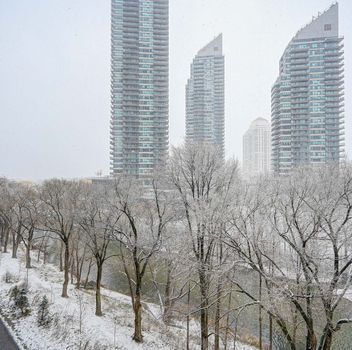 Condo 2220 Lakeshore Boulevard W Toronto For {
  "id": "W12249902-VOW",
  "Restricted": 0,
  "Active": 1,
  "Sold": 0,
  "Acreage": null,
  "Address": "2220 Lakeshore Boulevard W",
  "AirConditioning": "Central Air",
  "ApproxAge": "6-10",
  "ApproxSquareFootage": "500-599",
  "Area": "Toronto",
  "AreaCode": "",
  "Basement": "None",
  "Bedrooms": 1,
  "BedroomsPlus": 0,
  "Blob": "apostrophemlsphoto",
  "BuildingAmenities": "",
  "BuildingAreaTotal": "",
  "BuildingAreaUnits": "",
  "BuildingInsuranceIncluded": null,
  "Board": "Toronto Regional Real Estate Board",
  "ClassSearch": "Condo",
  "CentralVac": "False",
  "ClosedDate": "0001-01-01T00:00:00Z",
  "CoListAgentEmail": null,
  "CoListAgentID": "9598947",
  "CoListAgentName": "PETTY LE, Salesperson",
  "CoListAgentDesignation": null,
  "CoListAgentPhone": "905-272-3434",
  "CoListOfficeID": null,
  "CoListOfficeName": "RE/MAX REALTY SPECIALISTS INC.",
  "CommercialCondoFees": 0,
  "Community": "Mimico",
  "CommunityCode": null,
  "Condition": "",
  "ConditionalExpirydate": "0001-01-01T00:00:00Z",
  "ContractDate": "2025-06-27",
  "DaysOnMarket": 0,
  "DirectionsCrossStreets": "Lake shore blvd W and Parklawn",
  "DisplayAddressOninternet": "True",
  "DistributeToInternetPortals": "True",
  "Elevator": "",
  "Extras": "",
  "ExpiryDate": "2025-10-30T00:00:00Z",
  "FireplaceStove": "False",
  "Furnished": "",
  "GarageSpaces": 1,
  "GarageType": "Underground",
  "HeatType": "Forced Air",
  "HeatSource": "Gas",
  "IDX": "Y",
  "Kitchens": 1,
  "KitchensPlus": 0,
  "Latitude": 43.622254,
  "LastStatus": "New",
  "Lease": "",
  "LeaseFrequency": "",
  "LeaseTerm": "",
  "Level": null,
  "ListAgentEmail": null,
  "ListAgentID": "9549921",
  "ListAgentName": "ALEX BAEZ, Salesperson",
  "ListAgentDesignation": null,
  "ListAgentPhone": "",
  "ListBrokerage": "RE/MAX REALTY SPECIALISTS INC.",
  "ListOfficeID": "495313",
  "ListOfficePhone": "",
  "ListAOR": null,
  "ListingEntryDate": "2025-06-27T15:55:12Z",
  "ListPrice": 499990,
  "Longitude": -79.482577,
  "LotDepth": 0,
  "LotFront": 0,
  "LotSizeCode": "",
  "MLS": "W12249902",
  "MLSNumber": "W12249902",
  "MLSStatus": "A",
  "MLSLastStatus": "New",
  "MoveInDate": "",
  "Municipality": "Toronto",
  "MunicipalityCode": "",
  "MunicipalityDistrict": "Toronto W06",
  "OpenHouseDate1": "0001-01-01T00:00:00Z",
  "OpenHouseDate2": "0001-01-01T00:00:00Z",
  "OpenHouseDate3": "0001-01-01T00:00:00Z",
  "OpenHouseFrom1": null,
  "OpenHouseFrom2": null,
  "OpenHouseFrom3": null,
  "OpenHouseTo1": null,
  "OpenHouseTo2": null,
  "OpenHouseTo3": null,
  "OriginalPrice": 499990,
  "ParkingSpaces": 0,
  "PetsPermitted": "Restricted",
  "PhotoCount": 29,
  "Pool": "",
  "PostalCode": "M8V 0C1",
  "PropertyType": "Condo",
  "PropertyTypeSearch": "Residential",
  "PropertySubType": "Condo Apartment",
  "PropertySubTypeSearch": "Condo",
  "PropertyStyleSearch": "Apartment",
  "Province": "ON",
  "RemarksForClients": "Welcome to luxury living at its finest! This stunning 1-bedroom, 1-bathroom condo features a spacious, open-concept design, complete with a modern kitchen that boasts sleek quartz countertops and a chic backsplash, complemented by high-end laminate flooring throughout. Enjoy breathtaking western city views and the convenience of one dedicated parking space. The building elevates your lifestyle with exceptional amenities, including a state-of-the-art gym, indoor pool, relaxing spa, rooftop patio, vibrant party room, guest suites, games room, theatre room, and 24/7 concierge service. Perfect for those seeking sophistication and comfort in the heart of the city!",
  "Retirement": "0",
  "SaleLease": "Sale",
  "SoldDate": "0001-01-01T00:00:00Z",
  "SoldPrice": "",
  "Sewers": "",
  "Source": "VOW",
  "SPLP": 0,
  "SqFtTotal": null,
  "SqFtRangeMin": 500,
  "SqFtRangeMax": 599,
  "Status": "A",
  "StreetNumber": "2220",
  "StreetAbbreviation": "Boulevard",
  "StreetDirection": "W",
  "StreetName": "Lakeshore",
  "Style": "Apartment",
  "SuspendedDate": "0001-01-01T00:00:00Z",
  "Taxes": 2017,
  "TaxYear": "2024",
  "TerminatedDate": "0001-01-01T00:00:00Z",
  "TimestampSql": "2025-06-27T15:55:12Z",
  "TotalArea": "0",
  "TotalParkingSpaces": 1,
  "Type": "Condo Apartment",
  "TypeSearch": "Apartment Unit",
  "UnitNumber": "601",
  "VirtualTourURL": "",
  "Washrooms": 1,
  "Water": null,
  "Waterfront": "",
  "WaterIncluded": "",
  "YearBuilt": null,
  "Zoning": "",
  "Geometry": "43.622254,-79.482577",
  "RTimestampSql": "2025-06-27T16:55:01Z"
}.(string)property[