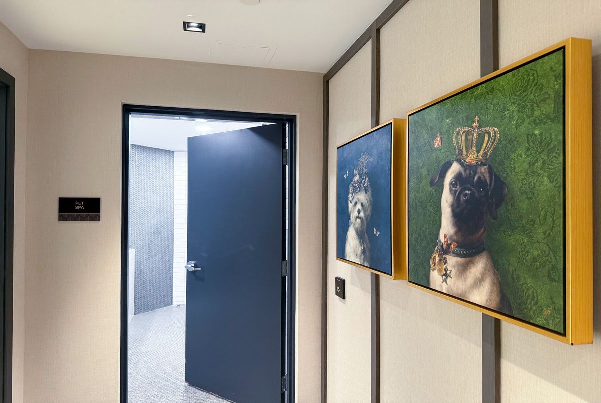 405 Dundas Street W Oakville 405 Dundas Street W Oakville