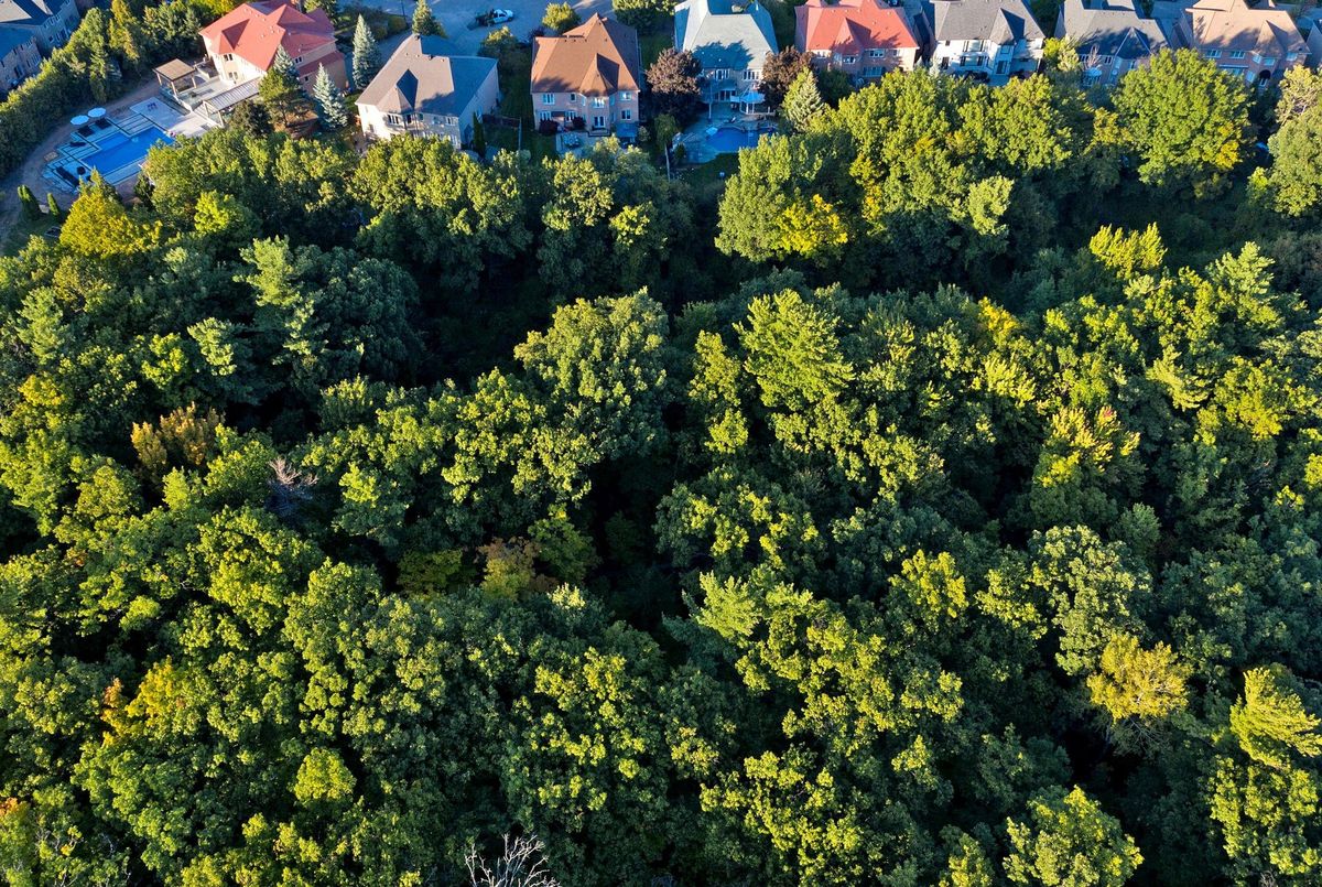 5368 Vail Court Mississauga 5368 Vail Court Mississauga