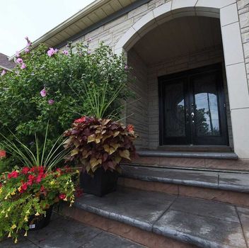 Residential 280 Falstaff Ave Toronto For {
  "id": "W5741884-VOW",
  "Acreage": "",
  "Active": "0",
  "Address": "280 Falstaff Ave",
  "AirConditioning": "Central Air",
  "ApproxAge": "16-30",
  "ApproxSquareFootage": "2500-3000",
  "Area": "Toronto",
  "AreaCode": "01",
  "Basement": "Finished",
  "Bedrooms": "4",
  "BedroomsPlus": "0",
  "Blob": "apostrophemlsphoto",
  "BuildingAmenities": "",
  "BuildingAreaTotal": "2500-3000",
  "BuildingAreaUnits": "Sq Ft",
  "Board": "Toronto Real Estate Board",
  "ClassSearch": "Residential",
  "CentralVac": "",
  "ClosedDate": "2022-10-01T00:00:00Z",
  "CoListAgentEmail": "",
  "CoListAgentID": "9563257",
  "CoListAgentName": "ANITA MOHAMMADZADEH, Broker",
  "CoListAgentDesignation": "",
  "CoListAgentPhone": "416-624-2040",
  "CoListOfficeID": "",
  "CoListOfficeName": "",
  "CommercialCondoFees": "0",
  "Community": "Maple Leaf",
  "CommunityCode": "01.W04.0280",
  "Condition": "",
  "ConditionalExpiryDate": "0001-01-01T00:00:00Z",
  "ContractDate": "2022-08-24 00:00:00.0",
  "DaysOnMarket": "18",
  "DisplayAddressOninternet": "Y",
  "DirectionsCrossStreets": "Hwy401/Keele",
  "DistributeToInternetPortals": "Y",
  "Elevator": "",
  "ExpiryDate": "2022-11-24T00:00:00Z",
  "Extras": ":Existing S S  Fridge  Stove  B/I Microwave  D/W  Clothes W/D  Forced Air Ac  Central Vacuum  Furnace (2014)  Outdr Hot Tub  Play Set   Garden Shed  All E L F s   Win Coverings Blinds Office Desk Front Yard Lamppost   Pond  Grg Doors   Rmte",
  "FireplaceStove": "Y",
  "Furnished": "N",
  "GarageSpaces": "2",
  "GarageType": "Built-In",
  "HeatType": "Forced Air",
  "HeatSource": "Gas",
  "IDX": "N",
  "Kitchens": "1",
  "KitchensPlus": "0",
  "Latitude": "43.7198",
  "LastStatus": "Lsd",
  "Lease": "",
  "LeaseFrequency": "Monthly",
  "LeaseTerm": "1 Year",
  "Level": "",
  "ListAgentEmail": "",
  "ListAgentID": "9586412",
  "ListAgentName": "HANIEH MOHAMMADZADEH, Broker",
  "ListAgentDesignation": "",
  "ListAgentPhone": "416-624-2040",
  "ListAOR": "",
  "ListBrokerage": "HOMELIFE/BAYVIEW REALTY INC., BROKERAGE",
  "ListOfficeID": "589700",
  "ListOfficePhone": "905-889-2200",
  "ListingEntryDate": "2022-08-24T00:00:00Z",
  "ListPrice": "4500",
  "Longitude": "-79.48504",
  "Locker": "",
  "LotDepth": "114.83",
  "LotFront": "51.57",
  "LotSizeCode": "Feet",
  "Maintenance": "0",
  "MLS": "W5741884",
  "MLSNumber": "W5741884",
  "MLSStatus": "U",
  "MLSLastStatus": "Lsd",
  "MoveInDate": "",
  "Municipality": "Toronto",
  "MunicipalityCode": "01.W04",
  "MunicipalityDistrict": "Toronto W04",
  "OpenHouseDate1": "0001-01-01T00:00:00Z",
  "OpenHouseDate2": "0001-01-01T00:00:00Z",
  "OpenHouseDate3": "0001-01-01T00:00:00Z",
  "OpenHouseFrom1": "",
  "OpenHouseFrom2": "",
  "OpenHouseFrom3": "",
  "OpenHouseTo1": "",
  "OpenHouseTo2": "",
  "OpenHouseTo3": "",
  "OriginalPrice": "4500",
  "ParkingSpaces": "6",
  "PetsPermitted": "",
  "PhotoCount": "35",
  "Pool": "None",
  "PostalCode": "M6L-2G1",
  "PropertyType": "Residential",
  "PropertyTypeSearch": "Residential",
  "PropertySubType": "Detached",
  "PropertySubTypeSearch": "Single Family",
  "PropertyStyleSearch": "2 Storey",
  "Province": "Ontario",
  "RemarksForClients": "Luxury In Exclusive Maple Leaf Community. Stunning Stone Facade & Timeless Touches Interior. Grand 2 Storey Foyer W/ Signature Granite Floor, Upgraded Oak Spiral Staircase & Handrails. Soaring Vaulted Ceiling Den. Spacious Living/Dining Great For Family Parties. Large Eat-In Kitchen W/ Granite Counter-Tops, Ss Appliances & O/Looks Finished Yard. Exclusive Jacuzzi & Outdoor Hot Tub For Most Sensational Living. Close By Hwy 401 & 400",
  "Retirement": "N",
  "Restricted": "1",
  "SaleLease": "Lease",
  "Sold": "1",
  "SoldDate": "2022-09-11T00:00:00Z",
  "SoldPrice": "4500",
  "Source": "VOW",
  "SPLP": "100",
  "SqFtTotal": "",
  "SqFtRangeMin": "2500",
  "SqFtRangeMax": "3000",
  "Status": "U",
  "StreetNumber": "280",
  "StreetAbbreviation": "Ave",
  "StreetDirection": "",
  "StreetName": "Falstaff",
  "Style": "2-Storey",
  "SuspendedDate": "0001-01-01T00:00:00Z",
  "Taxes": "0",
  "TaxYear": "",
  "TerminatedDate": "0001-01-01T00:00:00Z",
  "TimestampSql": "2022-09-14T09:44:00Z",
  "TotalArea": "2500-3000",
  "TotalParkingSpaces": "0",
  "Type": "Detached",
  "TypeSearch": "Detached",
  "UnitNumber": "",
  "VirtualTourURL": "",
  "Water": "",
  "Washrooms": "4",
  "Waterfront": "",
  "WaterIncluded": "N",
  "YearBuilt": "",
  "Zoning": "",
  "Geometry": "43.7198,-79.48504",
  "RTimestampSql": "2022-10-05T20:00:59Z"
}.(string)property[