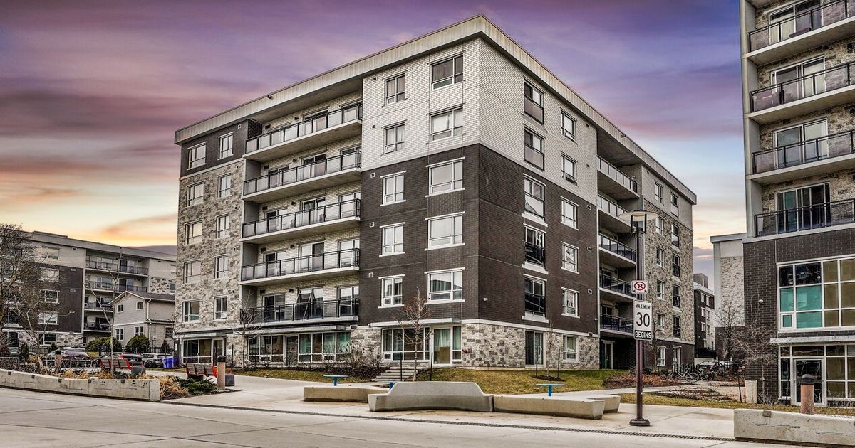 275 Larch Street Waterloo