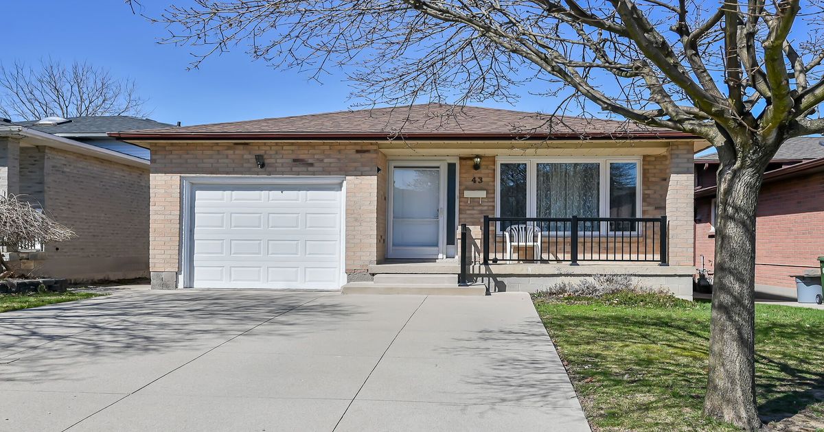 43 Everest Street Hamilton