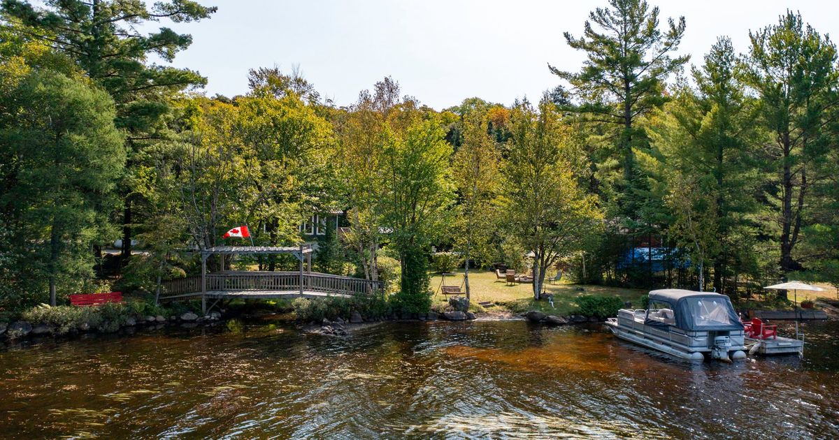 954 Dickie Lake Road Lake of Bays