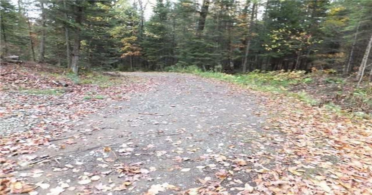 1646 Kennisis Lake Road Dysart et al