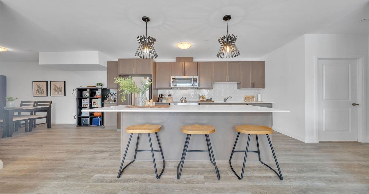 1 Redfern Avenue Hamilton