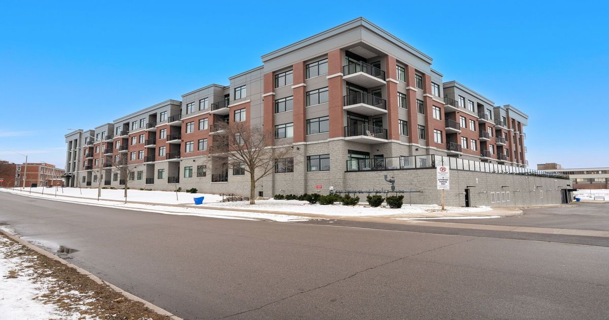 1 Redfern Avenue Hamilton