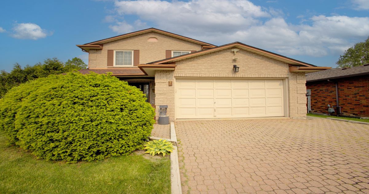 7 Flamingo Drive Hamilton
