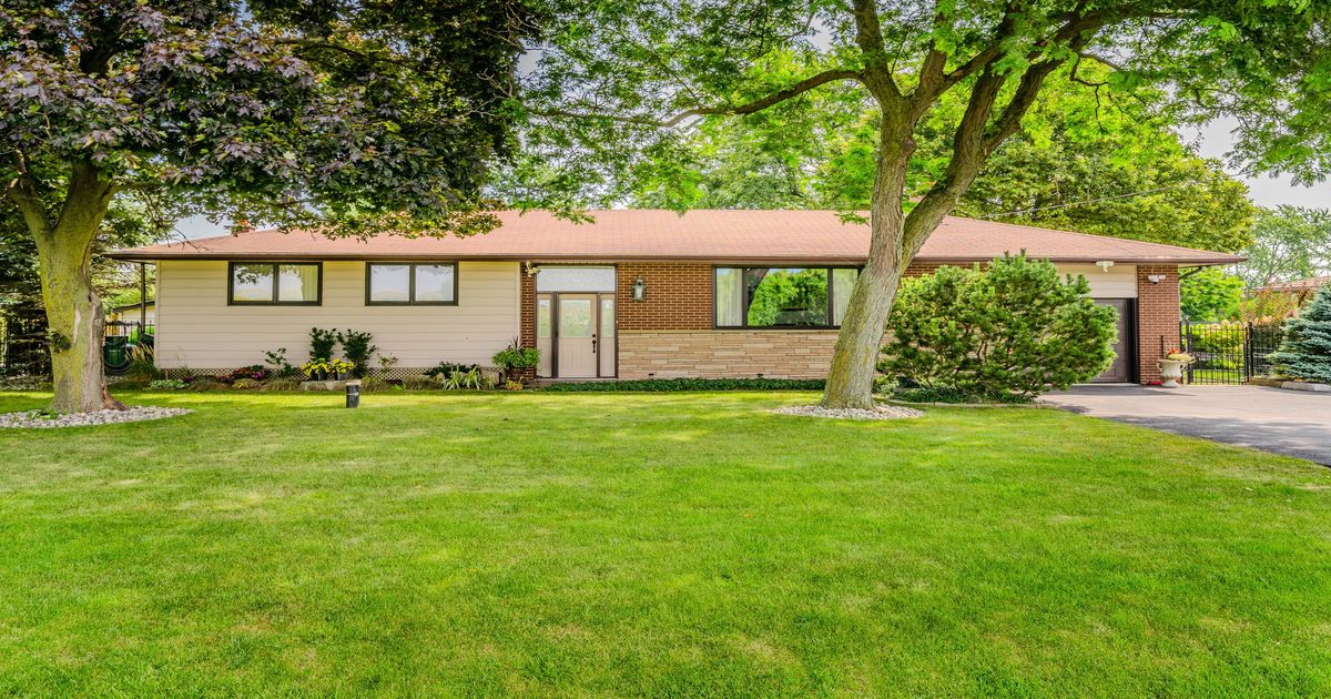 254 Sydenham Road Hamilton
