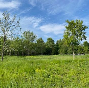 Residential Part 1 R13 Road Rideau Lakes For {
  "id": "X12374314-VOW",
  "Restricted": 0,
  "Active": 1,
  "Sold": 0,
  "Acreage": null,
  "Address": "Part 1 R13 Road",
  "AirConditioning": "",
  "ApproxAge": "",
  "ApproxSquareFootage": "< 700",
  "Area": "Leeds and Grenville",
  "AreaCode": "",
  "Basement": "",
  "Bedrooms": 0,
  "BedroomsPlus": 0,
  "Blob": "apostrophemlsphoto",
  "BuildingAmenities": "",
  "BuildingAreaTotal": "",
  "BuildingAreaUnits": "",
  "BuildingInsuranceIncluded": null,
  "Board": "Toronto Regional Real Estate Board",
  "ClassSearch": "Residential",
  "CentralVac": "False",
  "ClosedDate": "0001-01-01T00:00:00Z",
  "CoListAgentEmail": null,
  "CoListAgentID": "",
  "CoListAgentName": "",
  "CoListAgentDesignation": null,
  "CoListAgentPhone": "",
  "CoListOfficeID": null,
  "CoListOfficeName": "",
  "CommercialCondoFees": 0,
  "Community": "820 - Rideau Lakes (South Elmsley) Twp",
  "CommunityCode": null,
  "Condition": "",
  "ConditionalExpirydate": "0001-01-01T00:00:00Z",
  "ContractDate": "2025-09-02",
  "DaysOnMarket": 0,
  "DirectionsCrossStreets": "Moran Road",
  "DisplayAddressOninternet": "True",
  "DistributeToInternetPortals": "True",
  "Elevator": "",
  "Extras": "",
  "ExpiryDate": "2025-11-02T00:00:00Z",
  "FireplaceStove": "",
  "Furnished": "",
  "GarageSpaces": 0,
  "GarageType": "",
  "HeatType": "",
  "HeatSource": "",
  "IDX": "Y",
  "Kitchens": 0,
  "KitchensPlus": 0,
  "Latitude": 44.819,
  "LastStatus": "New",
  "Lease": "",
  "LeaseFrequency": "",
  "LeaseTerm": "",
  "Level": null,
  "ListAgentEmail": null,
  "ListAgentID": "9648080",
  "ListAgentName": "Robert Curphey, Salesperson",
  "ListAgentDesignation": null,
  "ListAgentPhone": "",
  "ListBrokerage": "RE/MAX HALLMARK REALTY GROUP",
  "ListOfficeID": "504300",
  "ListOfficePhone": "",
  "ListAOR": null,
  "ListingEntryDate": "2025-09-02T16:09:46Z",
  "ListPrice": 279000,
  "Longitude": -76.175826,
  "LotDepth": 391,
  "LotFront": 256,
  "LotSizeCode": "Feet",
  "MLS": "X12374314",
  "MLSNumber": "X12374314",
  "MLSStatus": "A",
  "MLSLastStatus": "New",
  "MoveInDate": "",
  "Municipality": "Rideau Lakes",
  "MunicipalityCode": "",
  "MunicipalityDistrict": "Rideau Lakes",
  "OpenHouseDate1": "0001-01-01T00:00:00Z",
  "OpenHouseDate2": "0001-01-01T00:00:00Z",
  "OpenHouseDate3": "0001-01-01T00:00:00Z",
  "OpenHouseFrom1": null,
  "OpenHouseFrom2": null,
  "OpenHouseFrom3": null,
  "OpenHouseTo1": null,
  "OpenHouseTo2": null,
  "OpenHouseTo3": null,
  "OriginalPrice": 279000,
  "ParkingSpaces": 0,
  "PetsPermitted": "",
  "PhotoCount": 12,
  "Pool": "",
  "PostalCode": "K0G 1L0",
  "PropertyType": "Residential",
  "PropertyTypeSearch": "Residential",
  "PropertySubType": "Vacant Land",
  "PropertySubTypeSearch": "Land",
  "PropertyStyleSearch": "Other",
  "Province": "ON",
  "RemarksForClients": "Big Rideau Lake building lot on 1.29 acres of beautiful land. 256 of natural shoreline with a sandy beach area. Fronts on crystal clear Davidson Bay with a mixture of year round homes and cottages. This level lot enjoys all day sun and offers an abundance of privacy. Large, approved buildable envelope in place to construct your dream home or lakeside cottage + outbuildings. Build now, build later - the choice is yours. This lot is boat launch ready. Install a dock at the beach area for swimming, fishing and boating. Private point location. Year round access. Wildlife in abundance. Big Rideau Lake is a UNESCO World Heritage Site and part of the Rideau Canal system. Boat to Ottawa, Kingston, Toronto or Montreal through the historic lock system. 15 minutes to Perth or Smiths Falls. Just over an hour to Ottawa or Kingston and 3.5 hours to Toronto. Rare opportunity to get on this premier Ontario Lake at this attractive price point.",
  "Retirement": "0",
  "SaleLease": "Sale",
  "SoldDate": "0001-01-01T00:00:00Z",
  "SoldPrice": "",
  "Sewers": "None",
  "Source": "VOW",
  "SPLP": 0,
  "SqFtTotal": null,
  "SqFtRangeMin": 0,
  "SqFtRangeMax": 700,
  "Status": "A",
  "StreetNumber": "Part 1",
  "StreetAbbreviation": "Road",
  "StreetDirection": "",
  "StreetName": "R13",
  "Style": "",
  "SuspendedDate": "0001-01-01T00:00:00Z",
  "Taxes": 100,
  "TaxYear": "2025",
  "TerminatedDate": "0001-01-01T00:00:00Z",
  "TimestampSql": "2025-09-03T17:11:42Z",
  "TotalArea": "0",
  "TotalParkingSpaces": 0,
  "Type": "Vacant Land",
  "TypeSearch": "Other",
  "UnitNumber": "",
  "VirtualTourURL": "",
  "Washrooms": 0,
  "Water": null,
  "Waterfront": "Direct",
  "WaterIncluded": "No",
  "YearBuilt": null,
  "Zoning": "Residential waterfront",
  "Geometry": "44.819,-76.175826",
  "RTimestampSql": "2025-09-03T18:57:19Z"
}.(string)property[