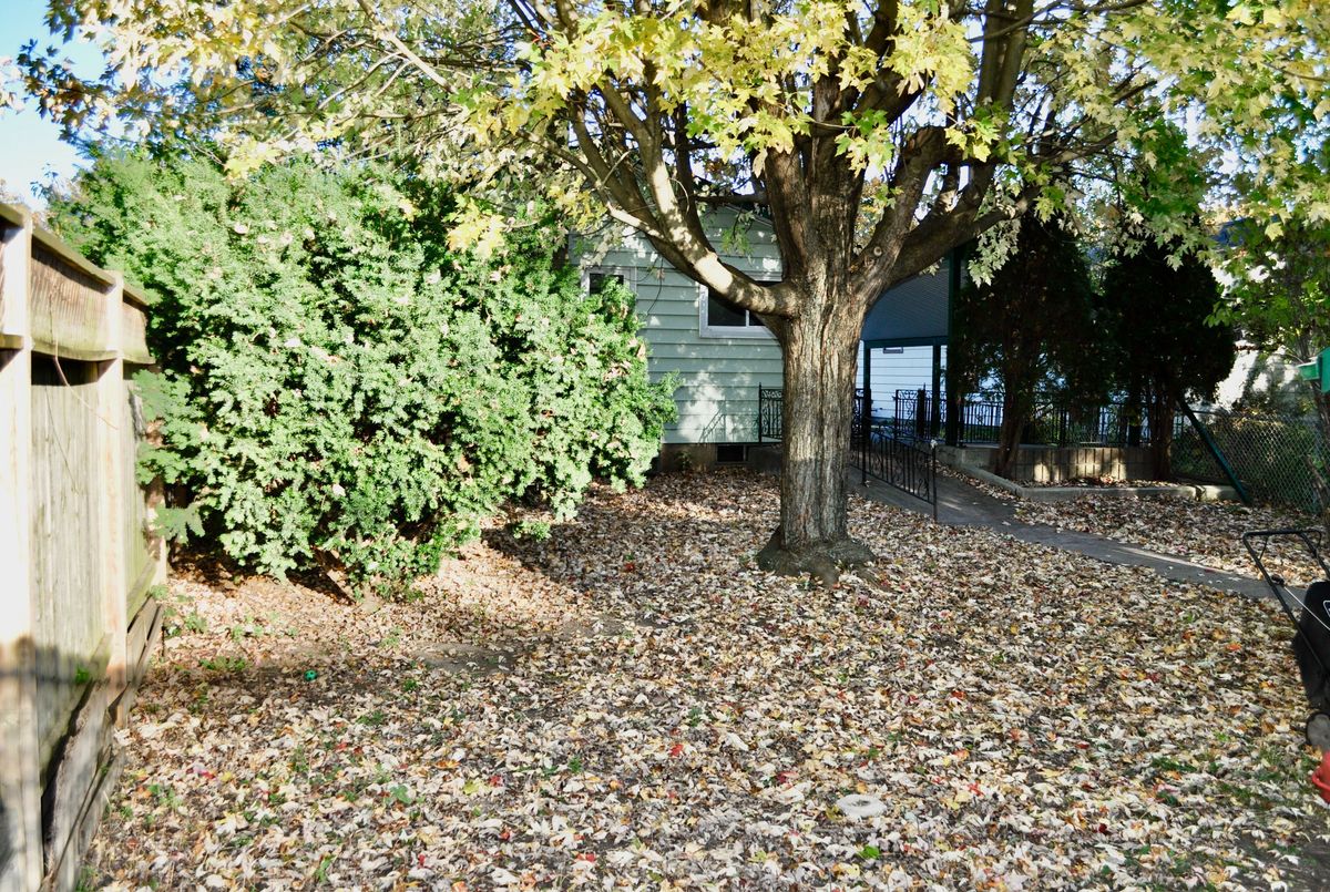 371 Speight Boulevard London East 371 Speight Boulevard London East