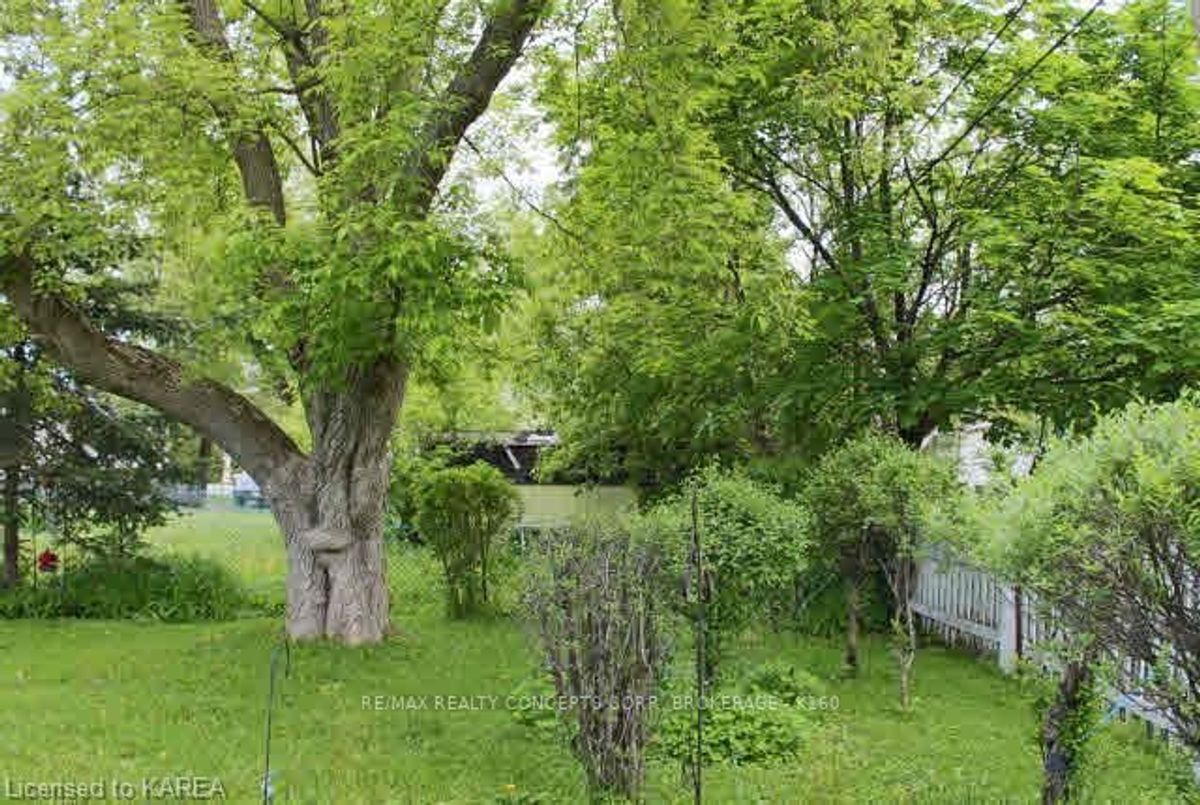 79 Kingscourt Avenue Kingston 79 Kingscourt Avenue Kingston