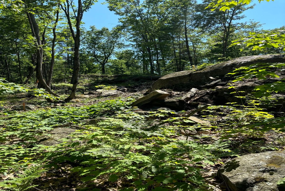18 Hawkins Point Road Georgian Bay 18 Hawkins Point Road Georgian Bay