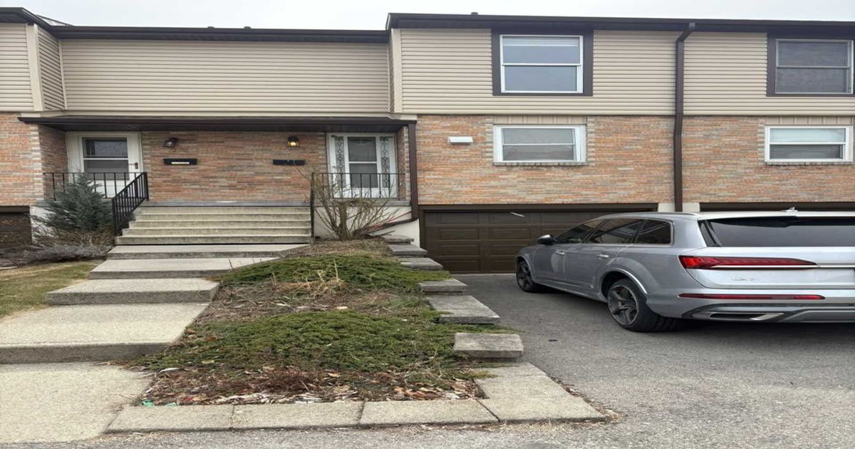 10 Angus Road Hamilton