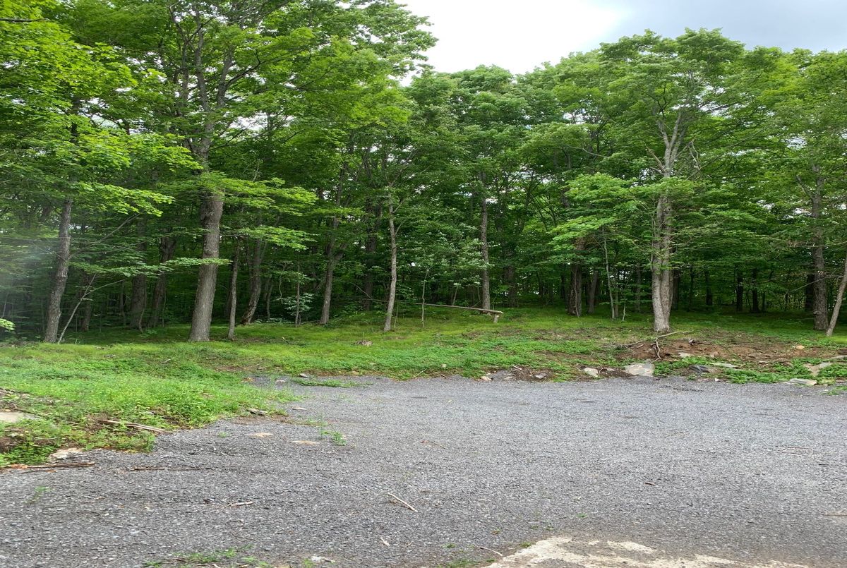 1282 Vansickle Road Havelock-Belmont-Methuen 1282 Vansickle Road Havelock-Belmont-Methuen