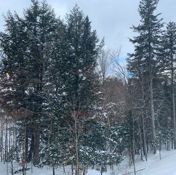 Residential 32 Kelsey Madison Crt Huntsville For {
  "id": "X6766756-VOW",
  "Acreage": "",
  "Active": "0",
  "Address": "32 Kelsey Madison Crt",
  "AirConditioning": "Central Air",
  "ApproxAge": "",
  "ApproxSquareFootage": "",
  "Area": "Muskoka",
  "AreaCode": "26",
  "Basement": "Full",
  "Bedrooms": "3",
  "BedroomsPlus": "0",
  "Blob": "apostrophemlsphoto",
  "BuildingAmenities": "",
  "BuildingAreaTotal": "0",
  "BuildingAreaUnits": "Sq Ft",
  "Board": "Toronto Real Estate Board",
  "ClassSearch": "Residential",
  "CentralVac": "",
  "ClosedDate": "2023-10-01T00:00:00Z",
  "CoListAgentEmail": "",
  "CoListAgentID": "9619961",
  "CoListAgentName": "FERI PARVARESH, Salesperson",
  "CoListAgentDesignation": "",
  "CoListAgentPhone": "437-970-8033",
  "CoListOfficeID": "",
  "CoListOfficeName": "",
  "CommercialCondoFees": "0",
  "Community": "",
  "CommunityCode": "",
  "Condition": "",
  "ConditionalExpiryDate": "0001-01-01T00:00:00Z",
  "ContractDate": "2023-08-24 00:00:00.0",
  "DaysOnMarket": "18",
  "DisplayAddressOninternet": "Y",
  "DirectionsCrossStreets": "Muskoka Rd &Brookside Crossing",
  "DistributeToInternetPortals": "Y",
  "Elevator": "",
  "ExpiryDate": "2023-11-14T00:00:00Z",
  "Extras": "",
  "FireplaceStove": "N",
  "Furnished": "N",
  "GarageSpaces": "1",
  "GarageType": "Attached",
  "HeatType": "Forced Air",
  "HeatSource": "Gas",
  "IDX": "N",
  "Kitchens": "1",
  "KitchensPlus": "0",
  "Latitude": "45.3459",
  "LastStatus": "Lsd",
  "Lease": "",
  "LeaseFrequency": "",
  "LeaseTerm": "1 Year",
  "Level": "",
  "ListAgentEmail": "",
  "ListAgentID": "9591720",
  "ListAgentName": "REZA MIR KHALAFZADEH, Salesperson",
  "ListAgentDesignation": "",
  "ListAgentPhone": "416-824-4436",
  "ListAOR": "",
  "ListBrokerage": "CENTURY 21 HERITAGE GROUP LTD.",
  "ListOfficeID": "248502",
  "ListOfficePhone": "905-895-1822",
  "ListingEntryDate": "2023-08-24T13:10:24Z",
  "ListPrice": "3200",
  "Longitude": "-79.19195",
  "Locker": "",
  "LotDepth": "104",
  "LotFront": "24.67",
  "LotSizeCode": "Feet",
  "Maintenance": "0",
  "MLS": "X6766756",
  "MLSNumber": "X6766756",
  "MLSStatus": "U",
  "MLSLastStatus": "Lsd",
  "MoveInDate": "",
  "Municipality": "Huntsville",
  "MunicipalityCode": "26.03",
  "MunicipalityDistrict": "Huntsville",
  "OpenHouseDate1": "0001-01-01T00:00:00Z",
  "OpenHouseDate2": "0001-01-01T00:00:00Z",
  "OpenHouseDate3": "0001-01-01T00:00:00Z",
  "OpenHouseFrom1": "",
  "OpenHouseFrom2": "",
  "OpenHouseFrom3": "",
  "OpenHouseTo1": "",
  "OpenHouseTo2": "",
  "OpenHouseTo3": "",
  "OriginalPrice": "3200",
  "ParkingSpaces": "2",
  "PetsPermitted": "",
  "PhotoCount": "29",
  "Pool": "None",
  "PostalCode": "P1H 0E2",
  "PropertyType": "Residential",
  "PropertyTypeSearch": "Residential",
  "PropertySubType": "Att/Row/Twnhouse",
  "PropertySubTypeSearch": "Row/Townhouse",
  "PropertyStyleSearch": "2 Storey",
  "Province": "Ontario",
  "RemarksForClients": "Reasons to Love This Beautiful Home Premium Ravine Facing Evergreen Trees Great Backyard and Spacious Deck with Glass Railing. Newly Built Home Located In A Prestigious Neighborhood. Modern Kitchen with Stainless Steel Appliances. A lovely King-Sized Primary Bedroom with French Doors, Walk-in Closet, and Beautiful 3-piece Ensuite. Two Additional Bedrooms with Double Door Closets, Spacious 4-piece Family Bath, and Convenient Laundry Closet. Perfectly Situated on a Tranquil Cul-de-sac Street, Peaceful Location with All Downtown Huntsville Amenities at Your Fingertips",
  "Retirement": "0",
  "Restricted": "1",
  "SaleLease": "Lease",
  "Sold": "1",
  "SoldDate": "2023-09-11T00:00:00Z",
  "SoldPrice": "3200",
  "Source": "VOW",
  "SPLP": "100",
  "SqFtTotal": "",
  "SqFtRangeMin": "0",
  "SqFtRangeMax": "0",
  "Status": "U",
  "StreetNumber": "32",
  "StreetAbbreviation": "Crt",
  "StreetDirection": "",
  "StreetName": "Kelsey Madison",
  "Style": "2-Storey",
  "SuspendedDate": "0001-01-01T00:00:00Z",
  "Taxes": "0",
  "TaxYear": "",
  "TerminatedDate": "0001-01-01T00:00:00Z",
  "TimestampSql": "2023-09-15T09:50:30Z",
  "TotalArea": "0",
  "TotalParkingSpaces": "0",
  "Type": "Att/Row/Twnhouse",
  "TypeSearch": "Row/Townhouse",
  "UnitNumber": "",
  "VirtualTourURL": "",
  "Water": "",
  "Washrooms": "3",
  "Waterfront": "",
  "WaterIncluded": "",
  "YearBuilt": "",
  "Zoning": "",
  "Geometry": "45.3459,-79.19195",
  "RTimestampSql": "2023-09-16T02:01:41Z"
}.(string)property[