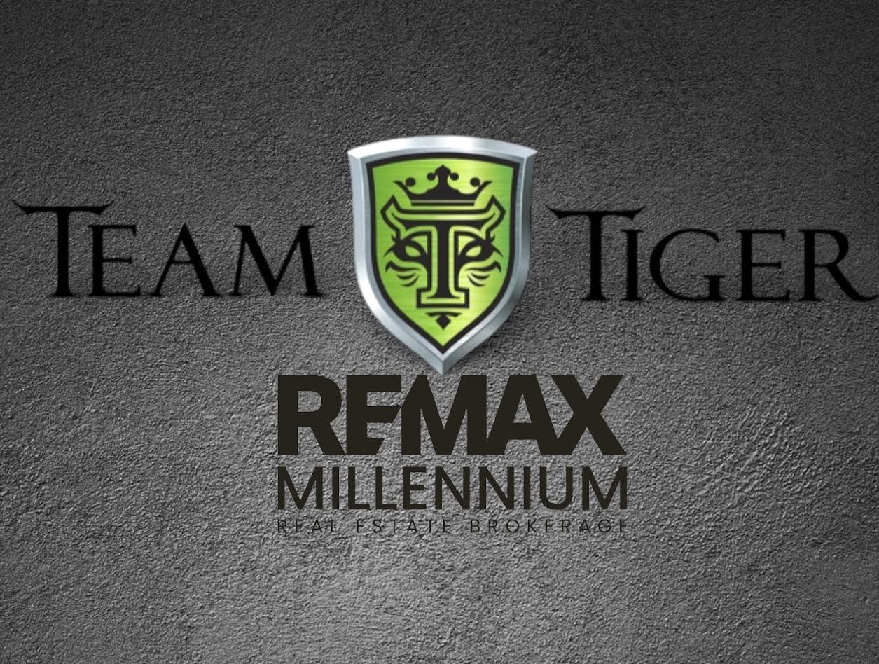 RE/MAX MILLENNIUM REAL ESTATE