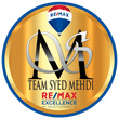 Team Syed Mehdi